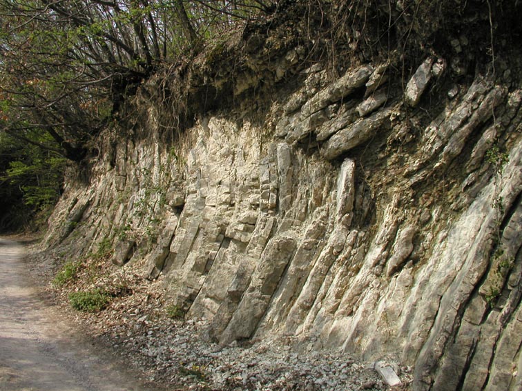 Che tipo di roccia ?